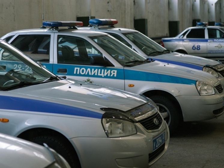 В Улан-Удэ пьяный водитель устроил погоню, а его дама - нападение на полицейских