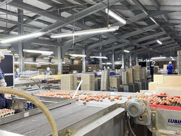 В Ивановской области отмечен рост производства животноводческой продукции