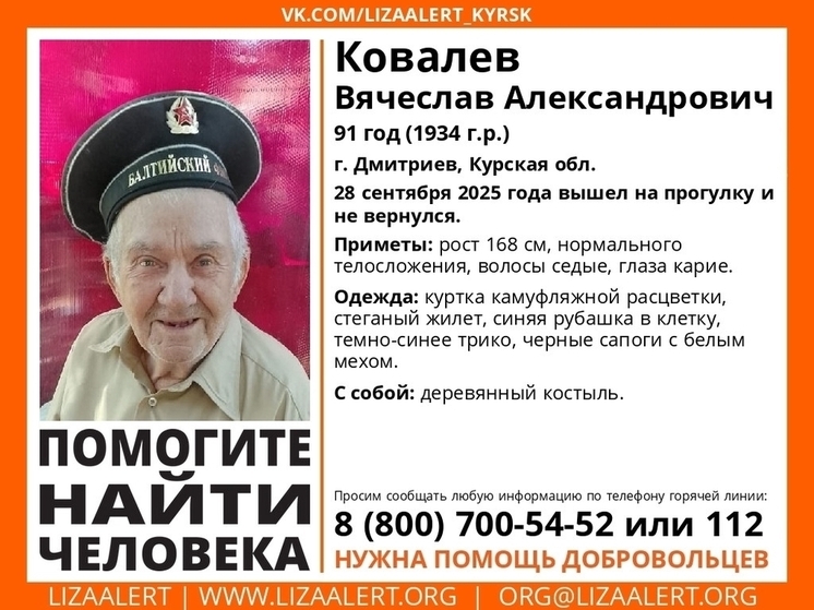 В Дмитриеве Курской области пропал 91-летний Вячеслав Ковалев