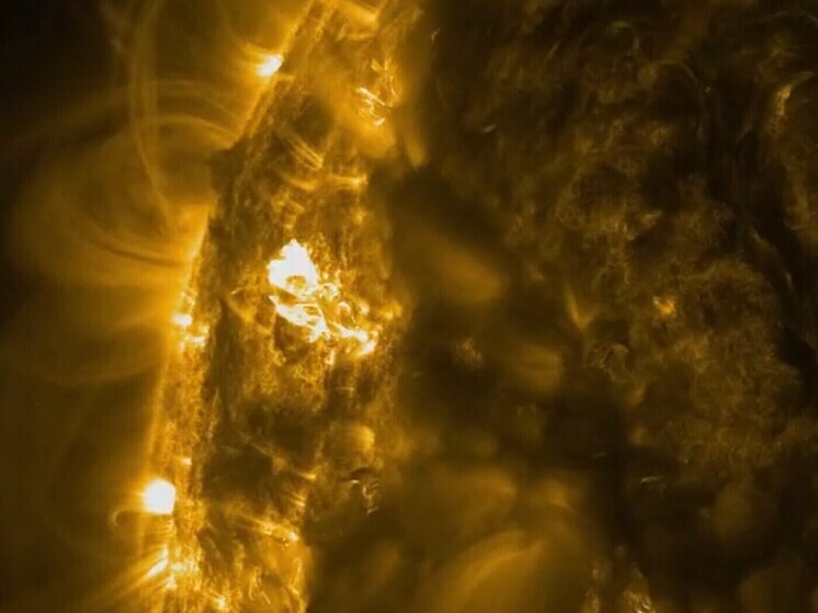 Солнце светится как новогодняя ёлка, рост активности будет долгим