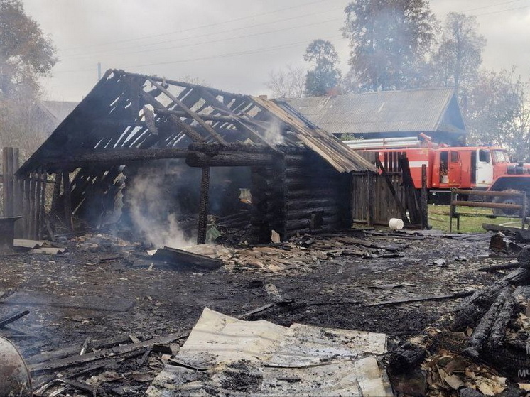 36-летний мужчина погиб на пожаре в Советском районе Марий Эл