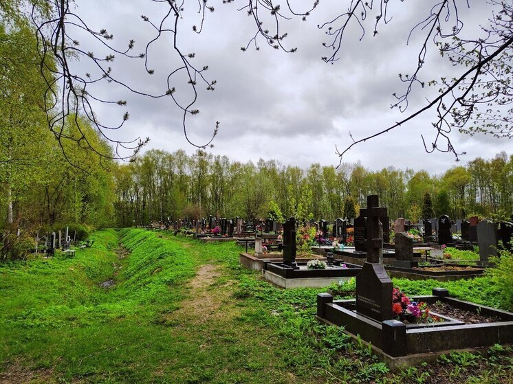 Петербурженка нашла огромные грибы возле Смоленского кладбища