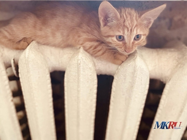 Отопительный сезон в Рыбновском районе стартует 29 сентября