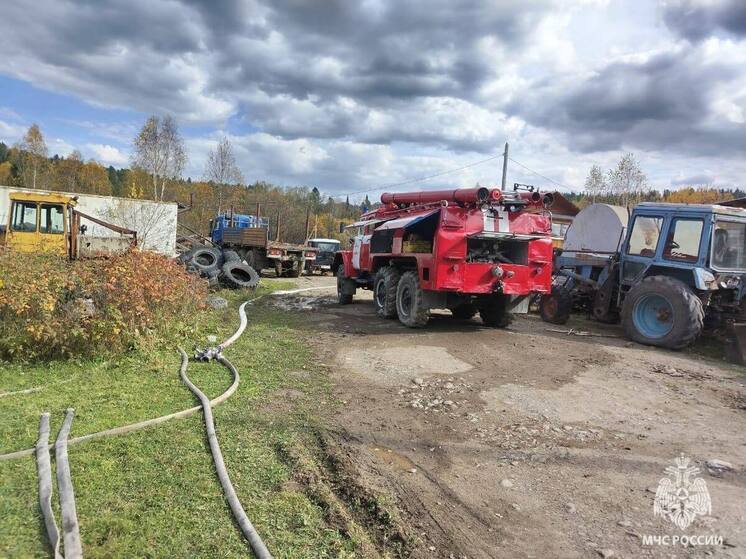 На Алтае пламя охватило надворные постройки