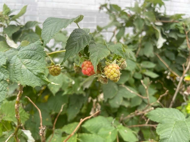 Синоптики рассказали о погоде на 30 сентября