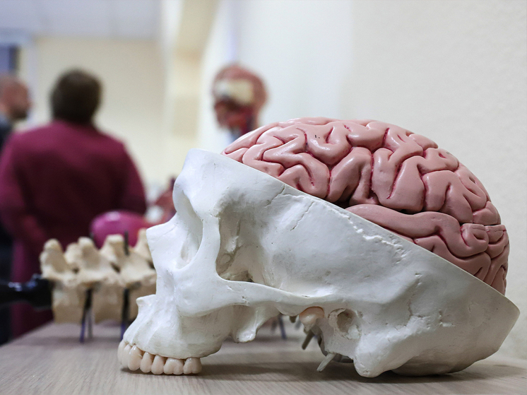 Ecco perché un'intelligenza elevata può interferire con la vita sessuale.