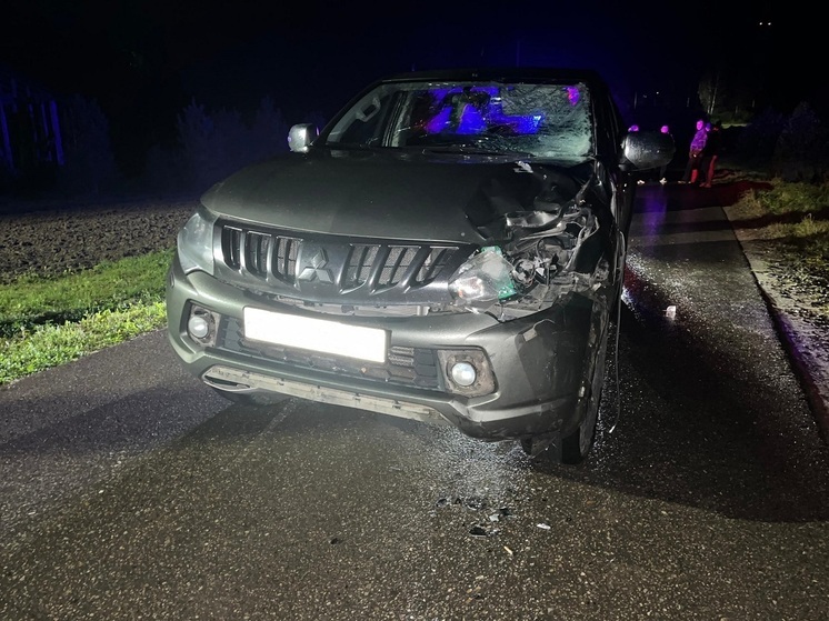 В Холм-Жирковском районе легковушка насмерть сбила велосипедиста