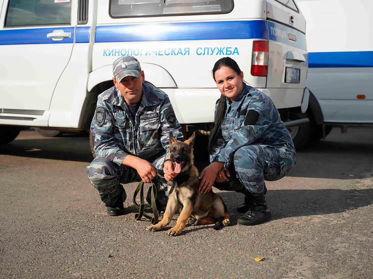 В Липецке пушистый сыщик ждет своего имени