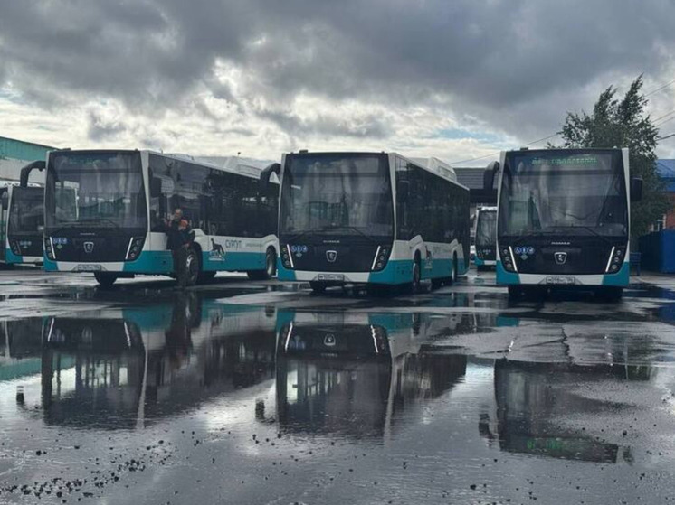 В Югре стартует масштабная модернизация автобусного парка
