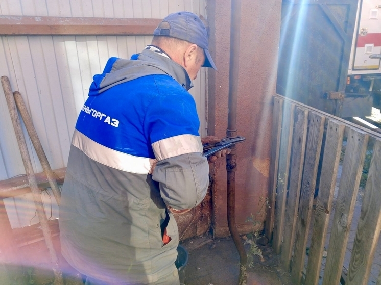 Владельцу особняка в рязанском Дягилеве отключили газ за долг в ₽476 000