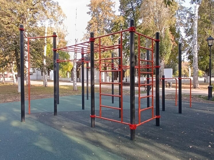 В парках Самары появились новые зоны воркаута