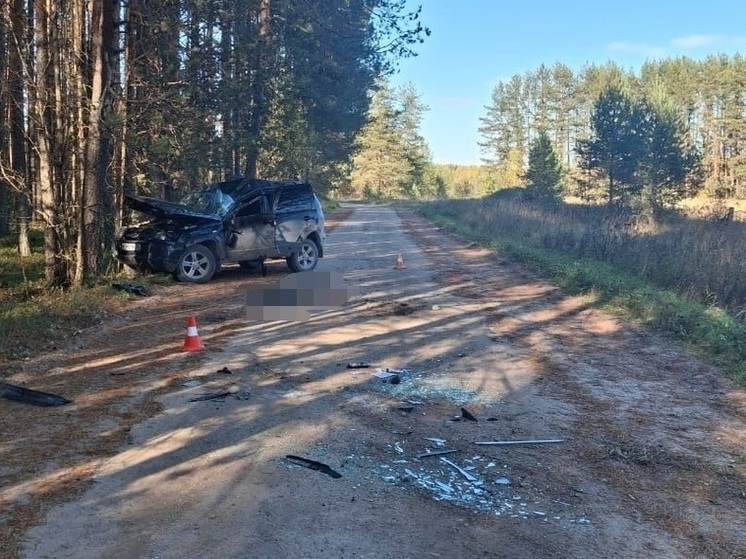 Иномарка влетела в дерево в Верховажском округе: один человек погиб, второй в больнице