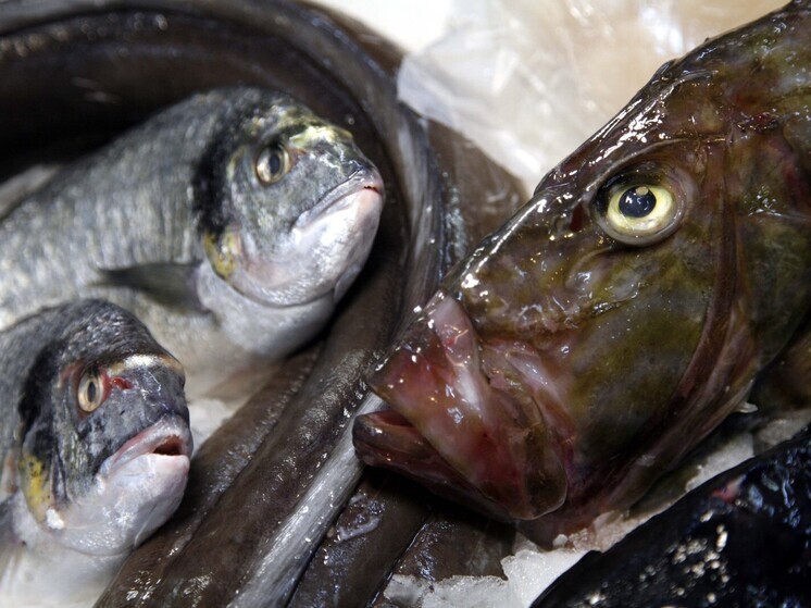 Нутрициолог Юлия Хлопова назвала главные критерии выбора качественной рыбы