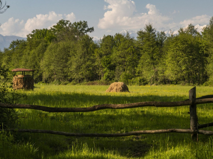 Донбасс и Новороссия получат 2 млрд на развитие сельских территорий в 2026 году