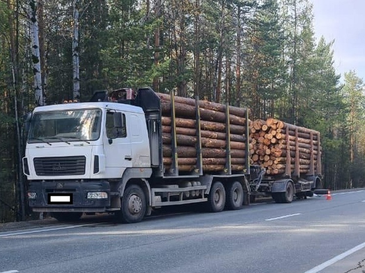 Задержан водитель грузовика, наехавшего на шофера в Свердловской области