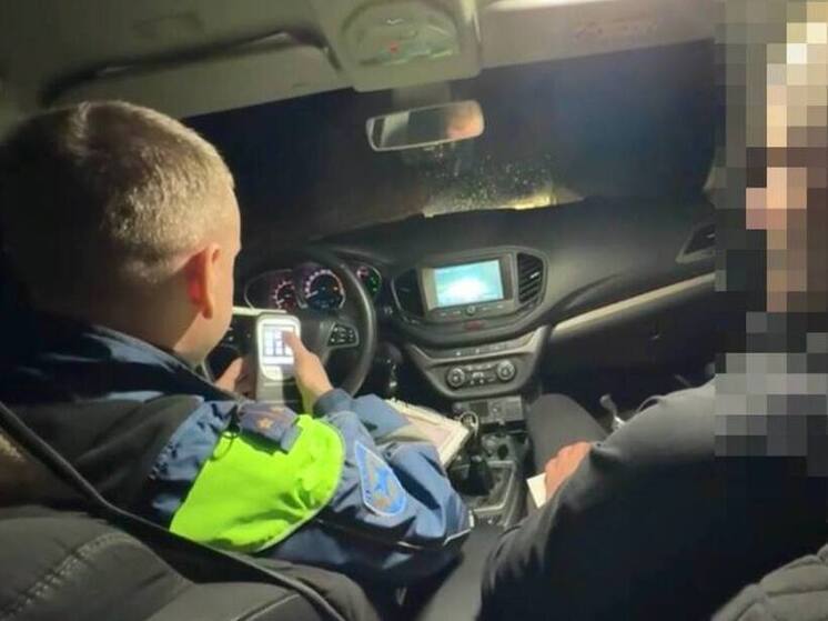 В Выходные в Пензе задержали больше 50 нетрезвых водителей