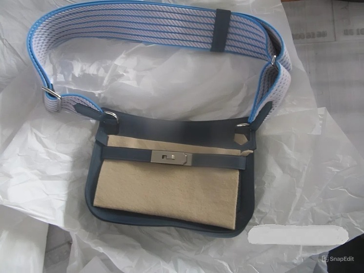 Сегодня — люкс, а завтра — ты без сумки: латышка пыталась незаконно провезти сумку за 700 тысяч рублей через Псковскую область