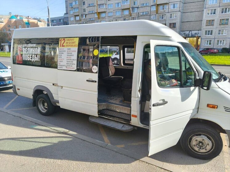 Маршрутка резко затормозила из-за собаки. Пострадала пассажирка