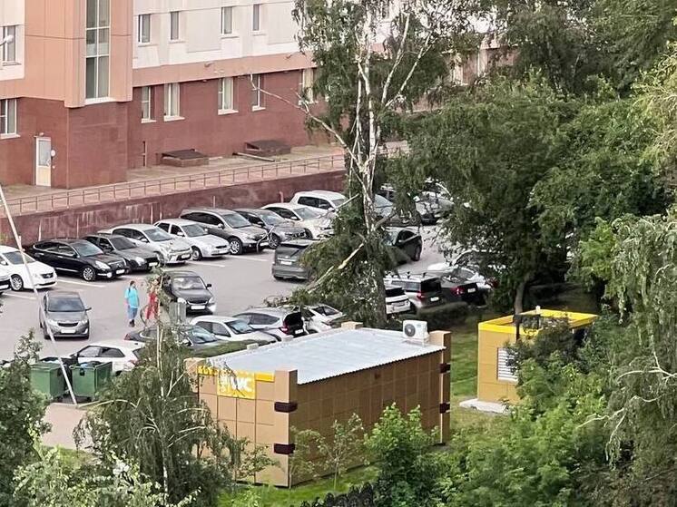 В Туле суд обязал компанию выплатить 439 тыс. руб. за упавшее дерево