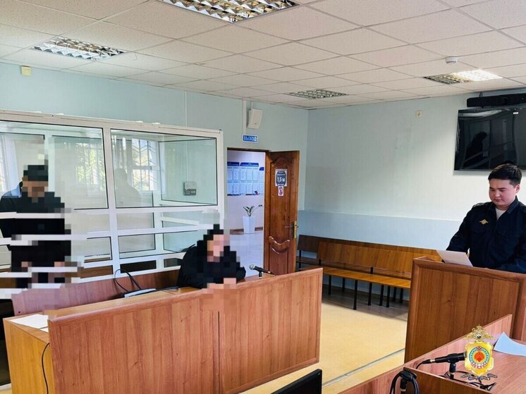 В Калмыкии избрали меру пресечения водителю, из-за которого погиб подросток