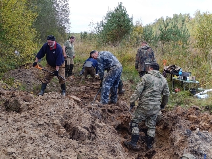 Поисковики нашли останки 10 красноармейцев в Кировском районе