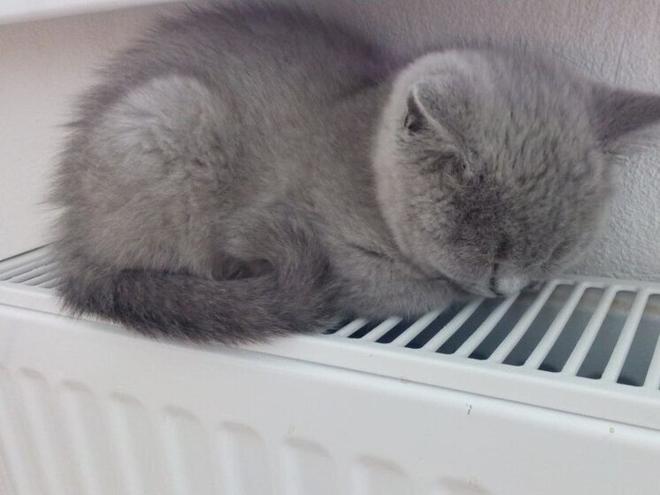 Тепло в дома Петербурга подадут после пяти суток со средней температурой +8°C
