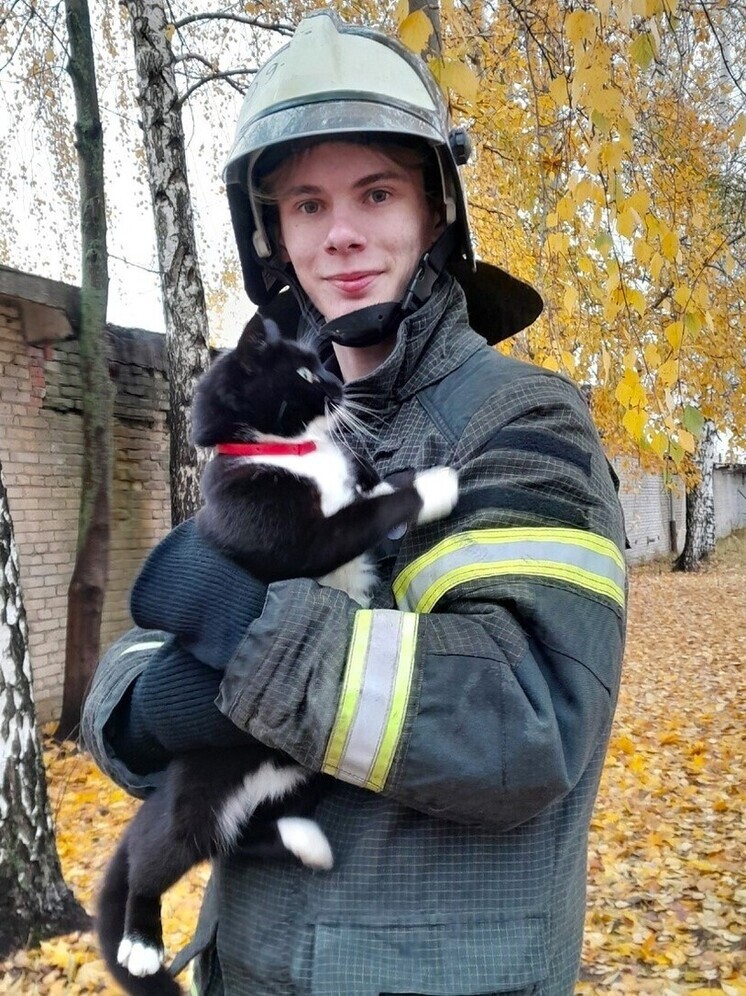 Проверка обязательна: спасатели напомнили тамбовчанам о котах под капотом