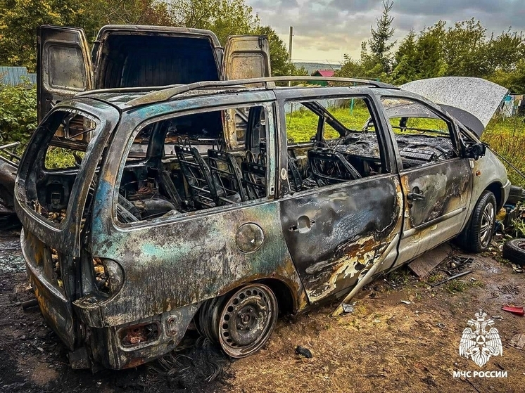 В Смоленской области из детской шалости сгорело несколько машин