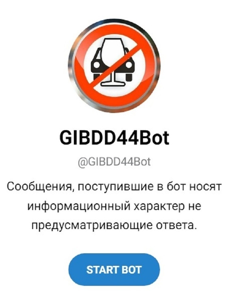 Костромичи сдали пьяного водителя в полицию при помощи Telegram-бота