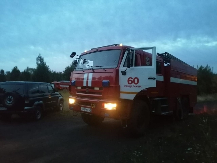 Два автомобиля столкнулись в Кандалакшском районе