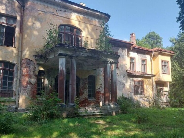 Рудковская и Плющенко планируют купить дачу Фаберже под Петербургом