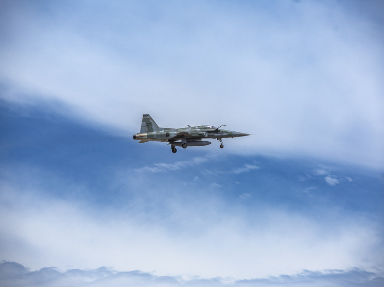 Швеция опровергла заявление Украины о поставках истребителей Gripen