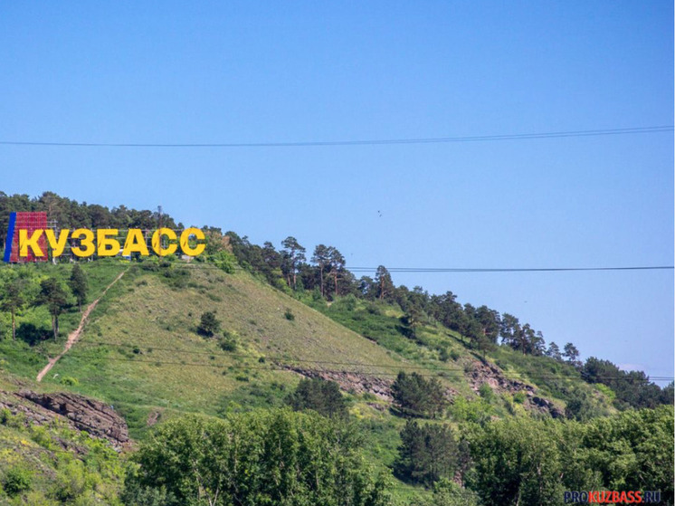 В Кузбассе приняты новые правила деятельности Министерства лесного хозяйства и охотничьего комплекса