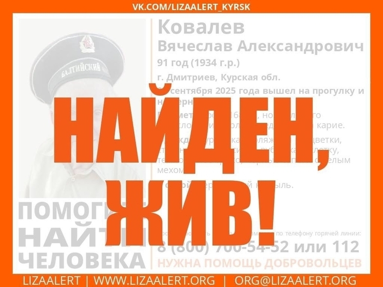 В Курской области прекращены поиски 91-летнего мужчины