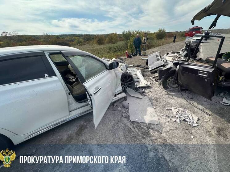 Два человека погибли в лобовом ДТП под Спасском-Дальним