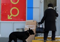 Справиться с сезонной хандрой и подавленным настроением в зимний период поможет регулярная половая жизнь
