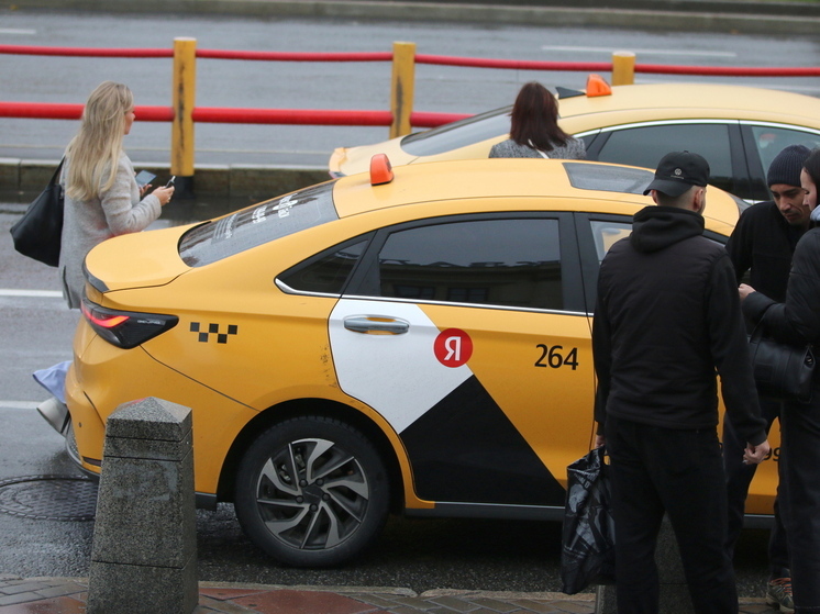 Около 80 таксистов оштрафовали в аэропортах Подмосковья с начала действия нового закона