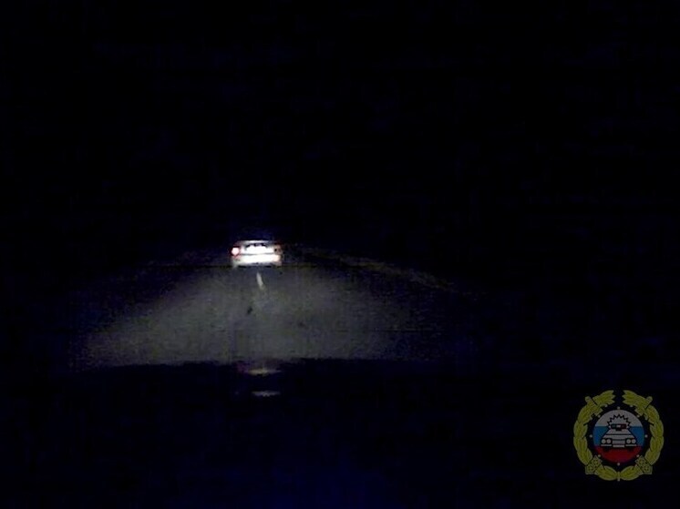 Волгоградские полицейские применили табельное оружие для задержания нарушителя