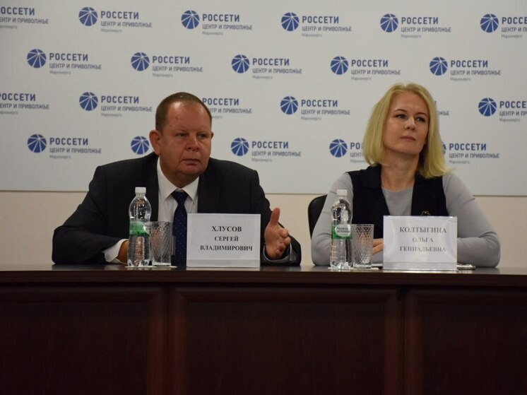 Ольга Колтыгина избрана председателем МРО ВЭП Республики Марий Эл