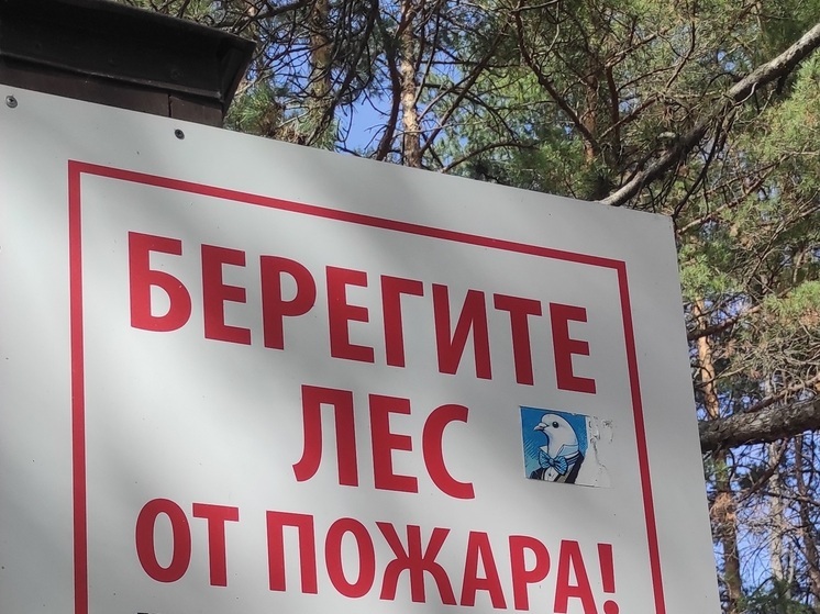 В Ставрополе завершили комплекс мер по противопожарным барьерам