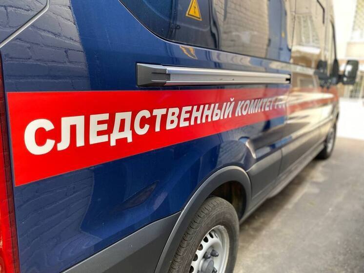 В Ефремове молодой мужчина в ходе ссоры досмерти забил любовника матери