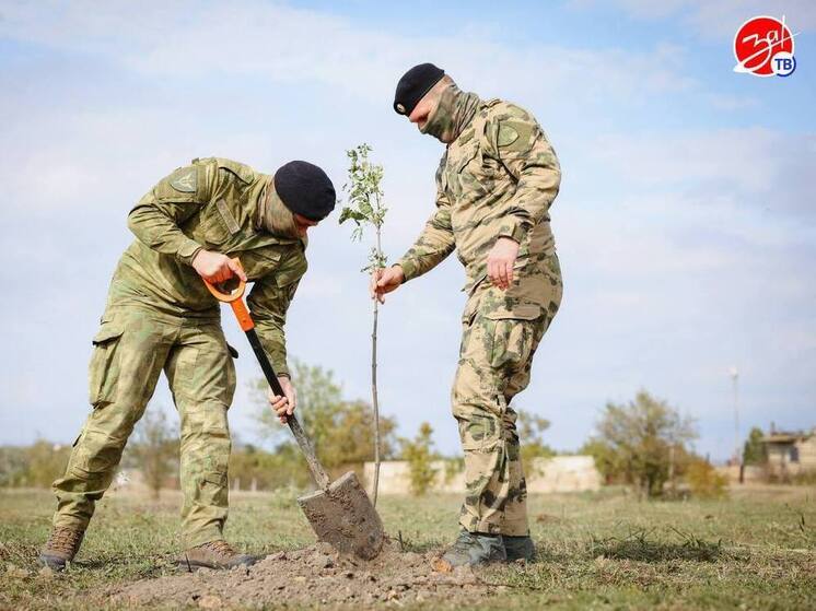 В Мелитополе высадили аллею деревьев ко Дню воссоединения с Россией