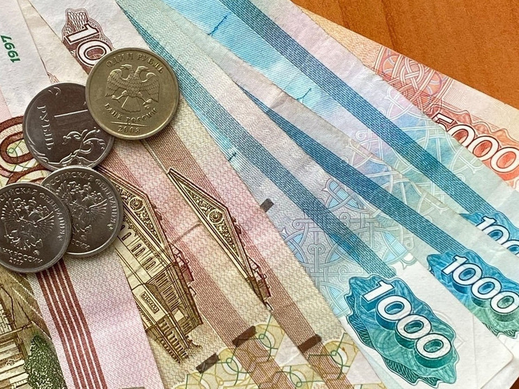 Более 1400 семей получили региональный маткапитал в Рязанской области