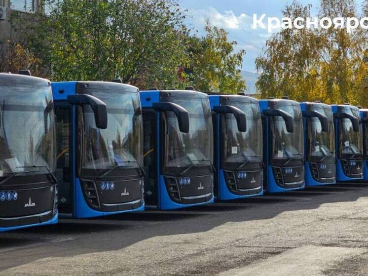 Красноярский край начал масштабное обновление общественного транспорта экологичными автобусами
