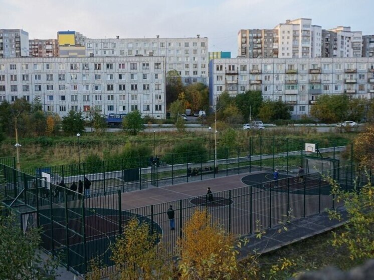 В Снежногорске открыли новую спортивную площадку благодаря активным жителям
