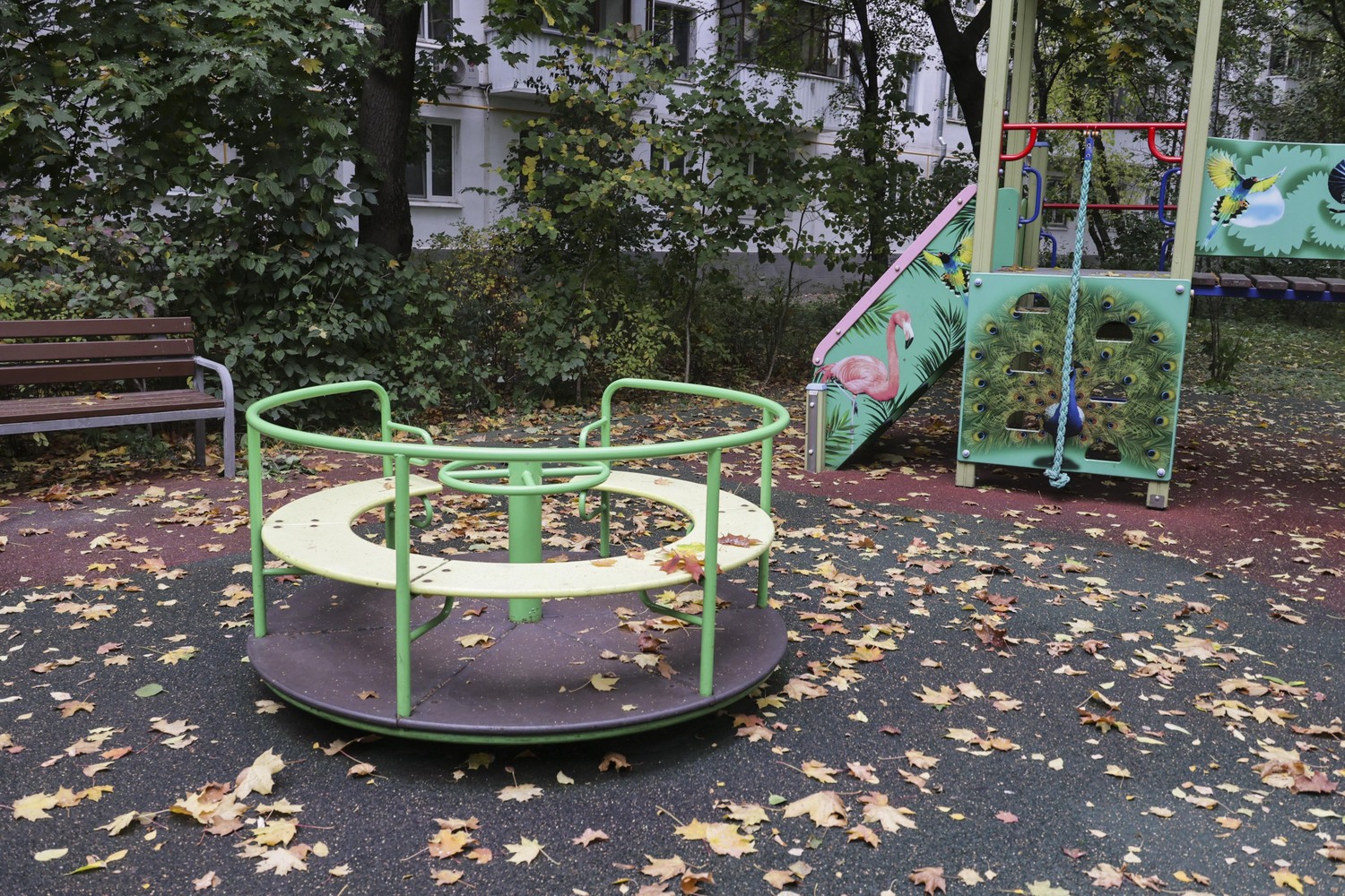 Крупный план яблок