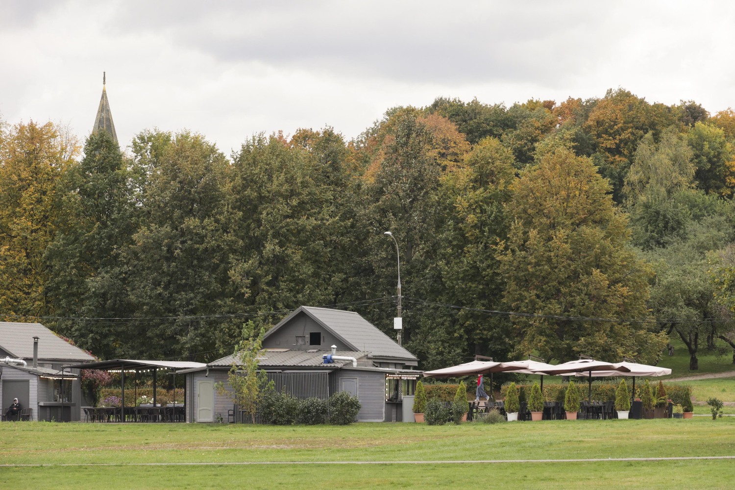 Яблоневый сад осенью