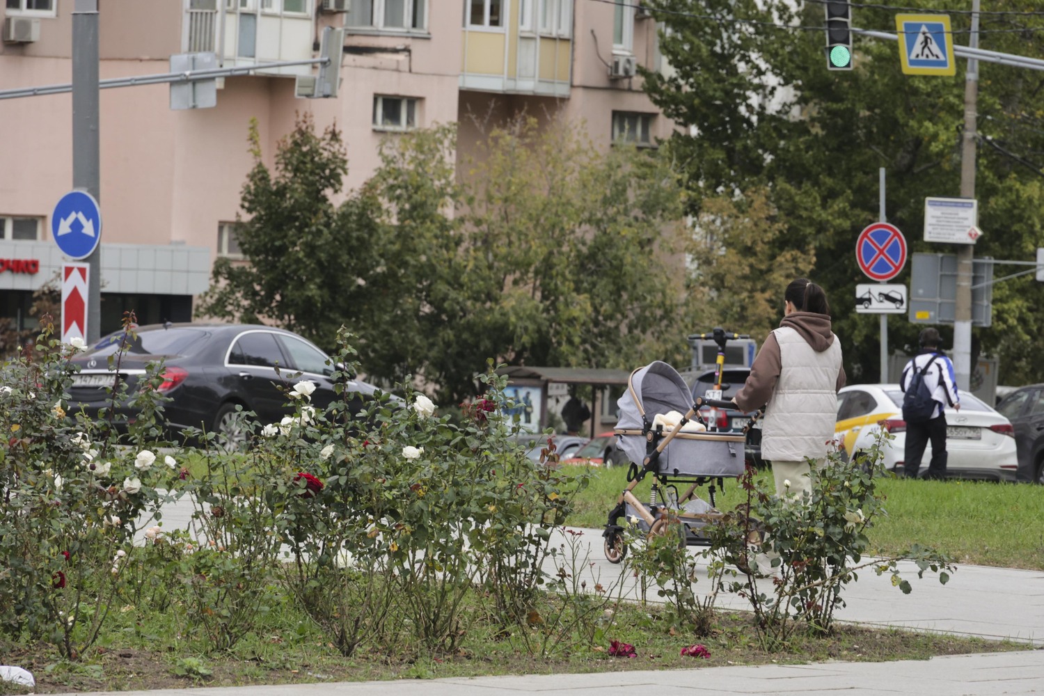 Семья собирает яблоки