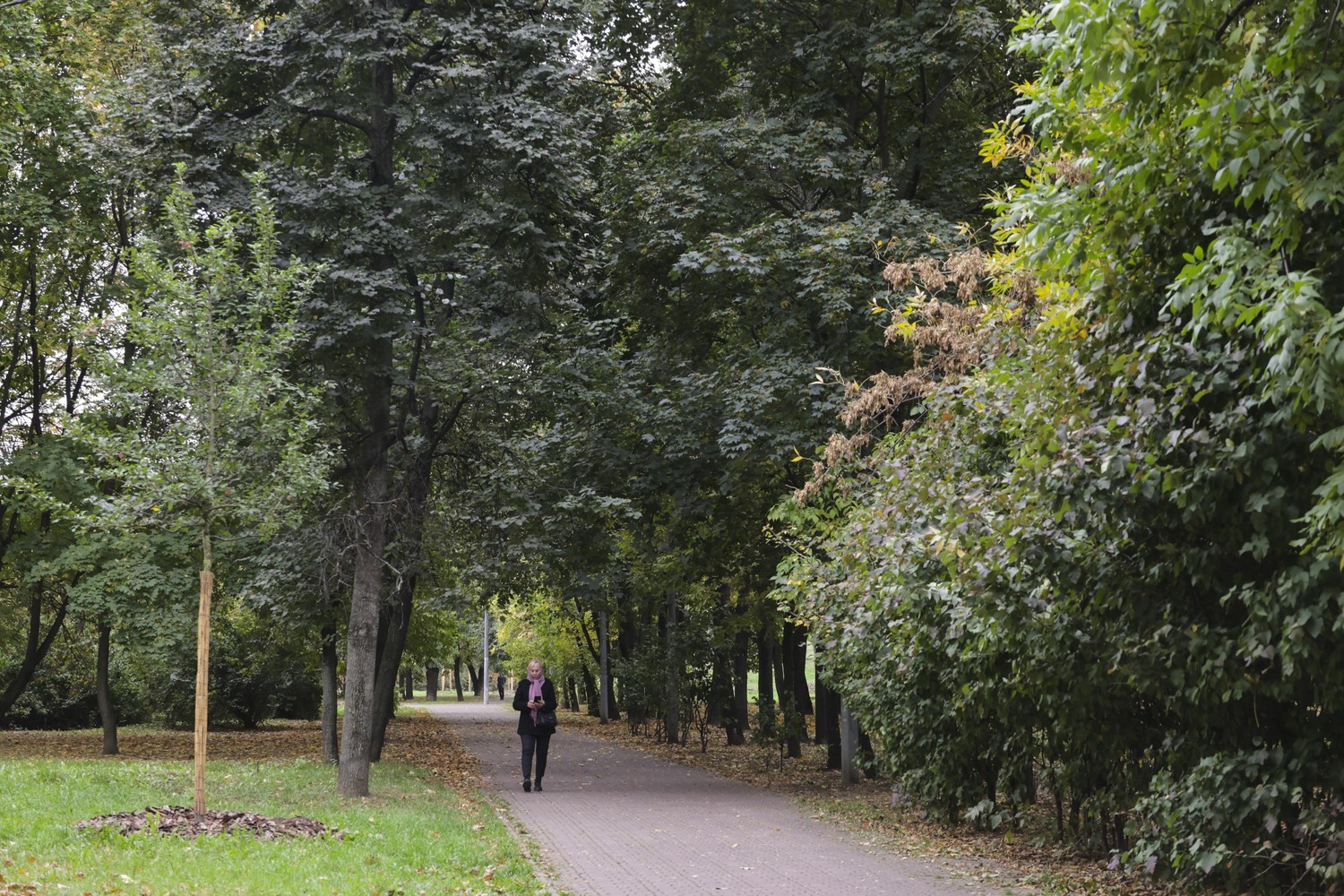 Сумки с яблоками