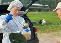 Кировская организация получила значительную поддержку от Фонда президентских грантов в размере 1,5 млн рублей